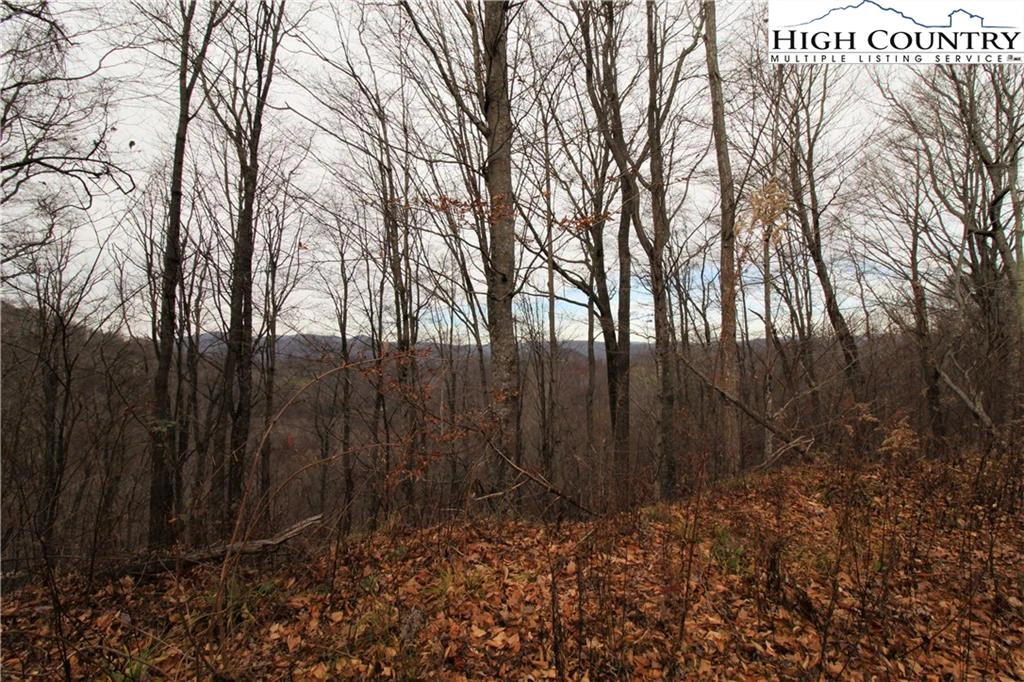 Image number 15 for the current listing