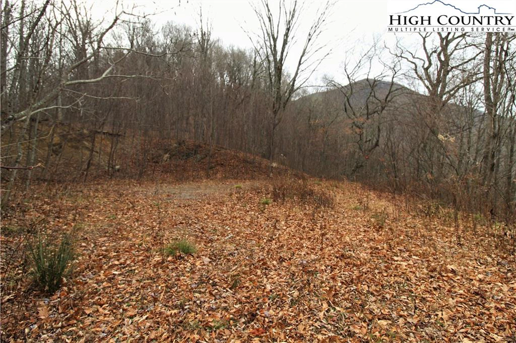 Image number 14 for the current listing