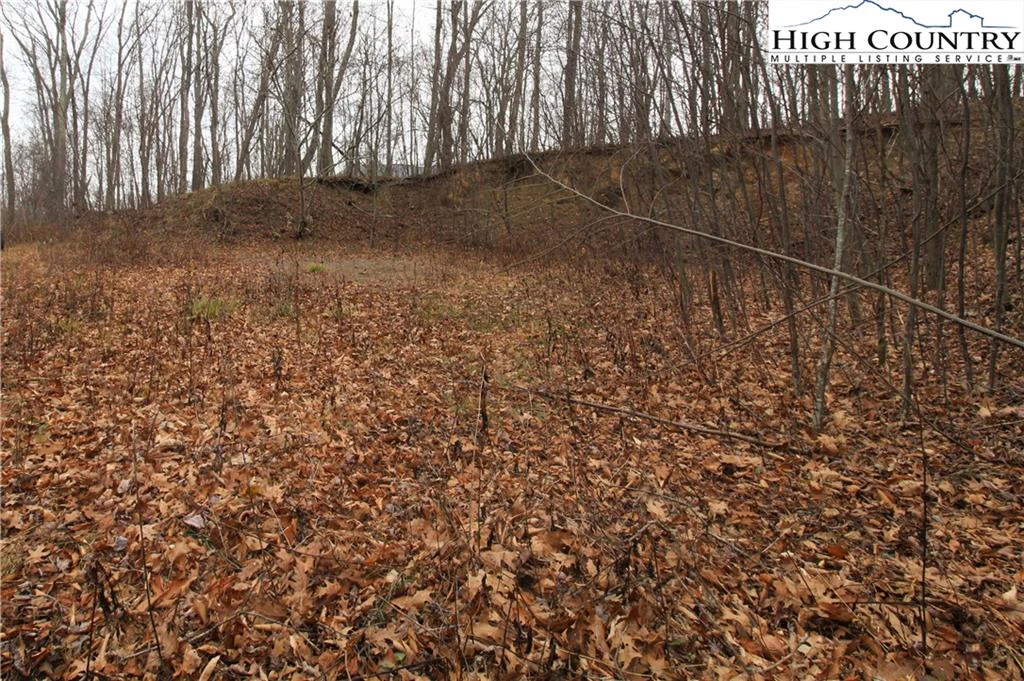 Image number 13 for the current listing