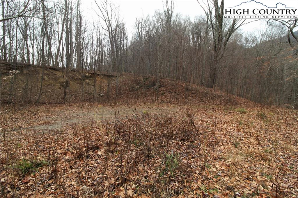 Image number 12 for the current listing