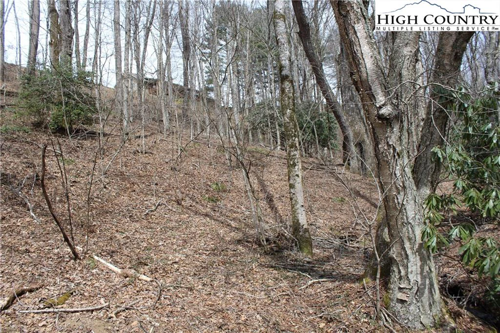 Image number 4 for the current listing