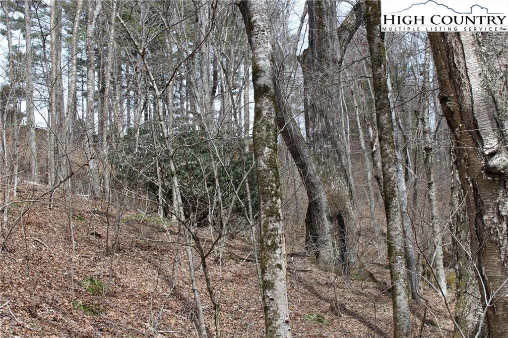 Image number 5 for the current listing