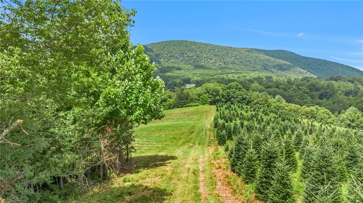 Image number 2 for the current listing