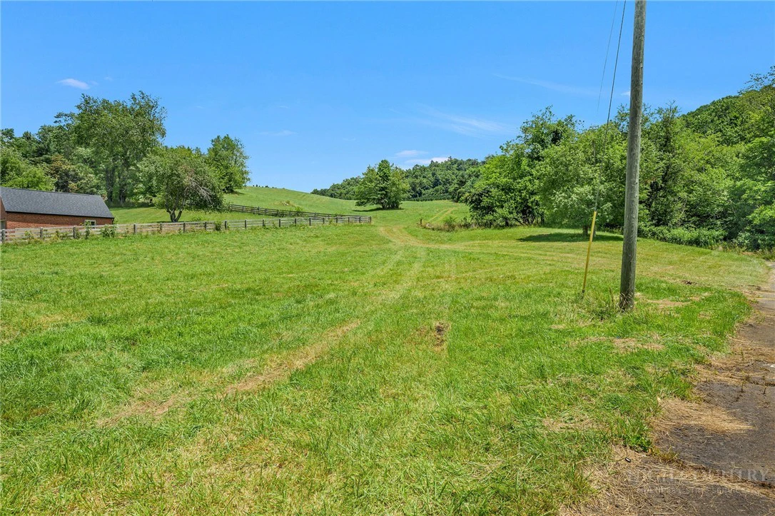 Image number 4 for the current listing