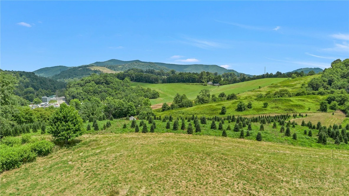 Image number 5 for the current listing