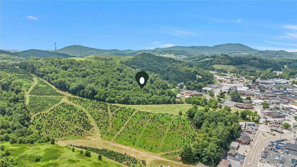 Image number 13 for the current listing