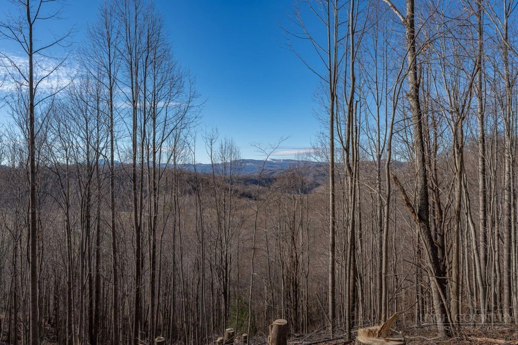 Image number 4 for the current listing