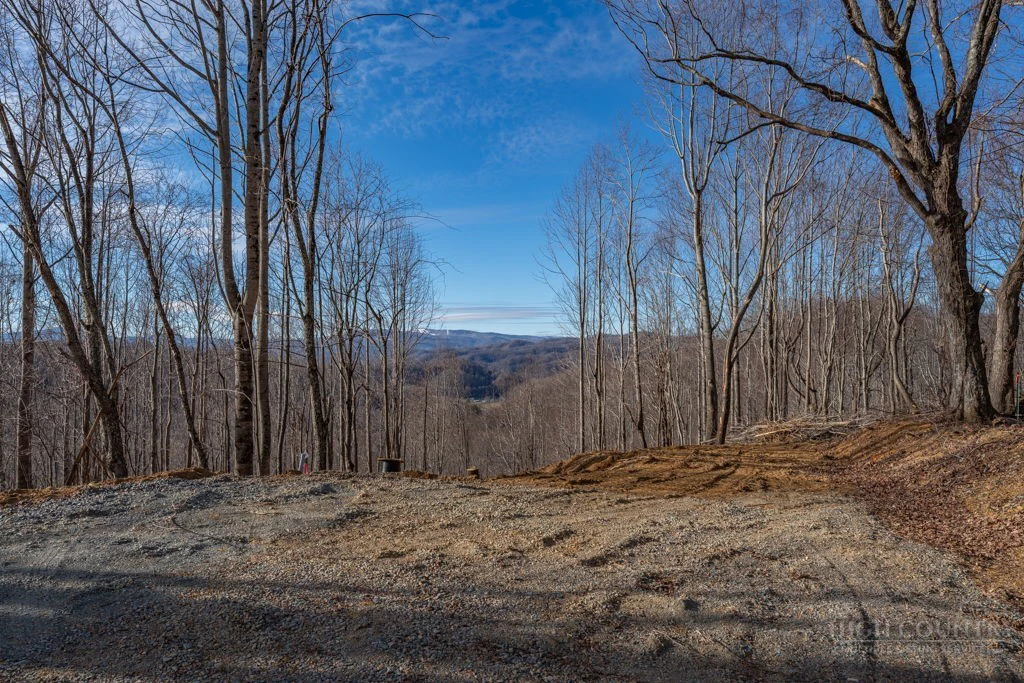 Image number 5 for the current listing