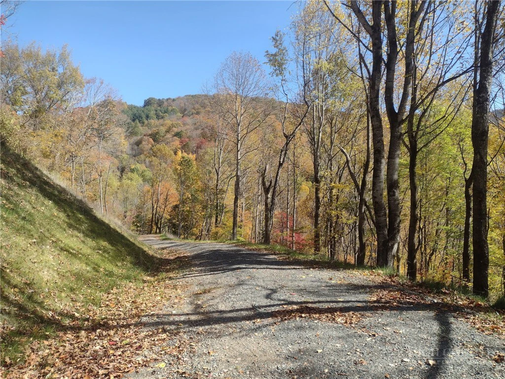 Image number 7 for the current listing