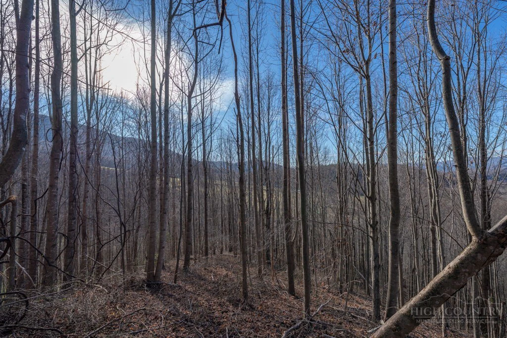 Image number 20 for the current listing