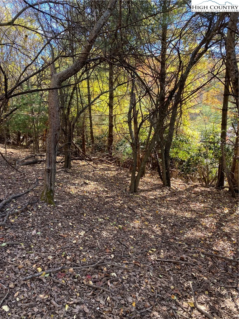 Image number 3 for the current listing