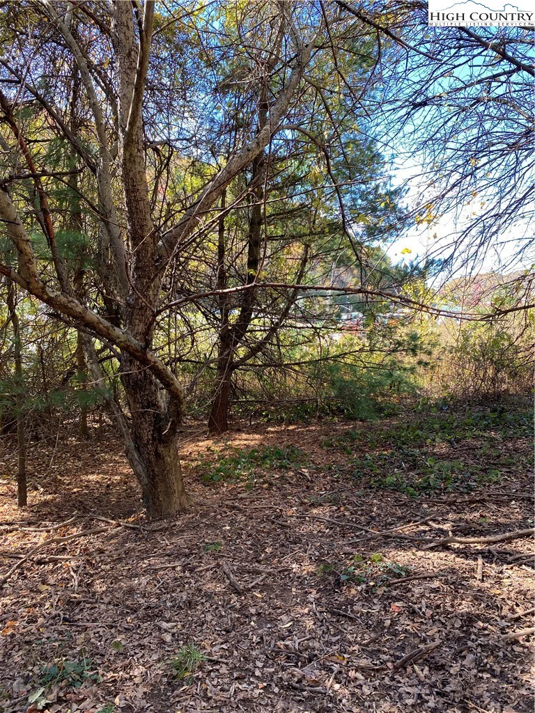 Image number 4 for the current listing