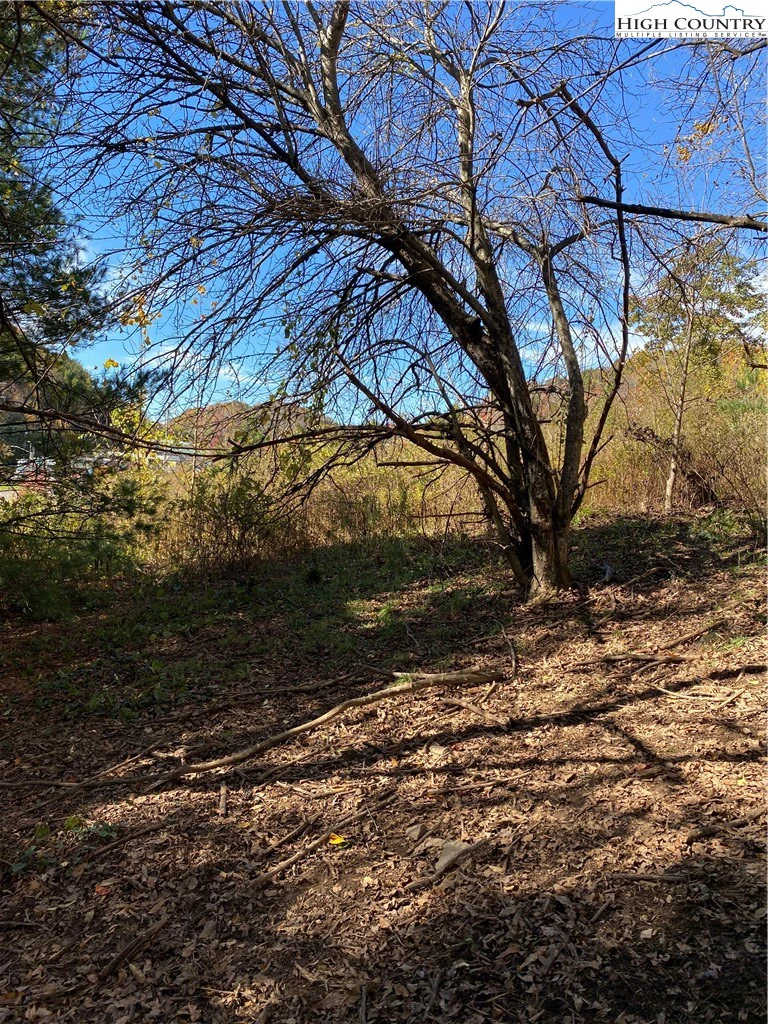 Image number 6 for the current listing