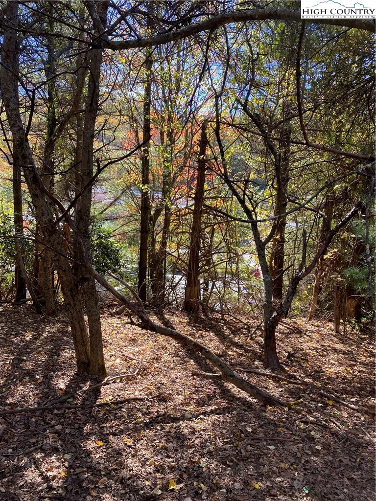 Image number 10 for the current listing