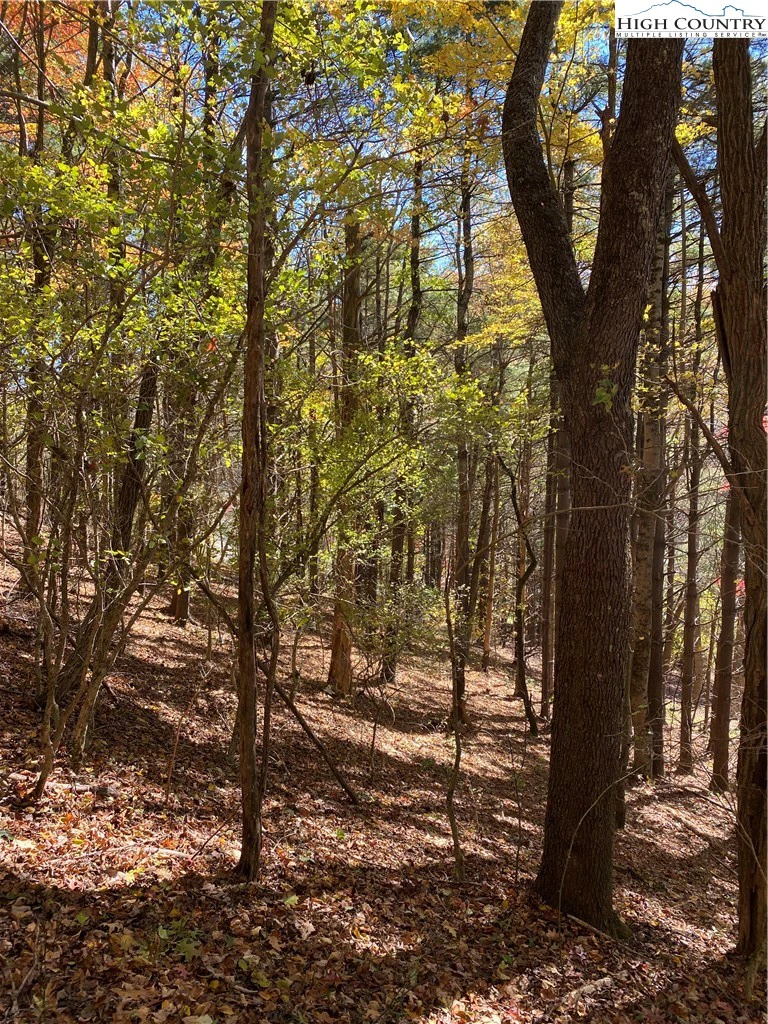Image number 11 for the current listing