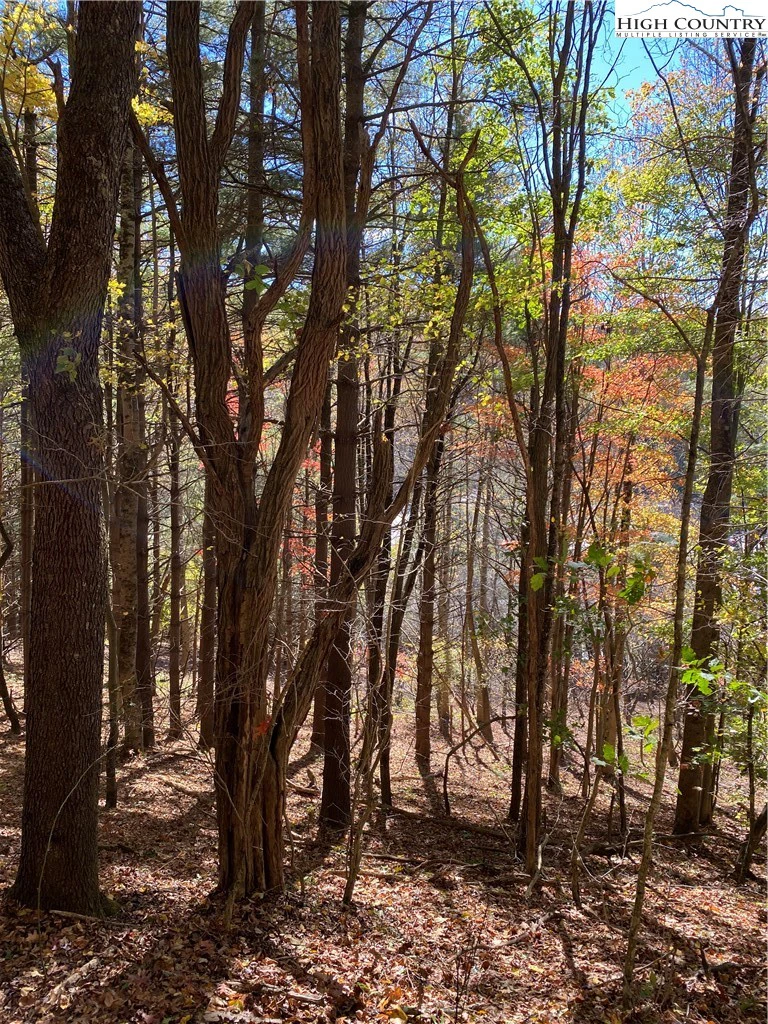 Image number 12 for the current listing