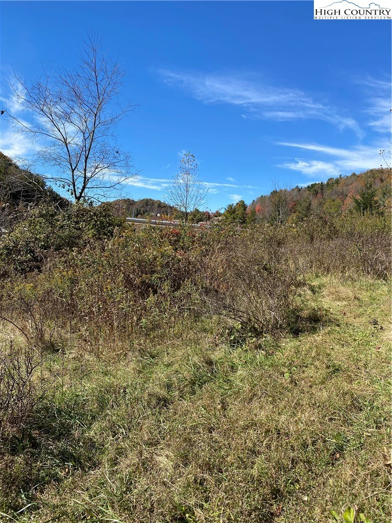 Image number 14 for the current listing