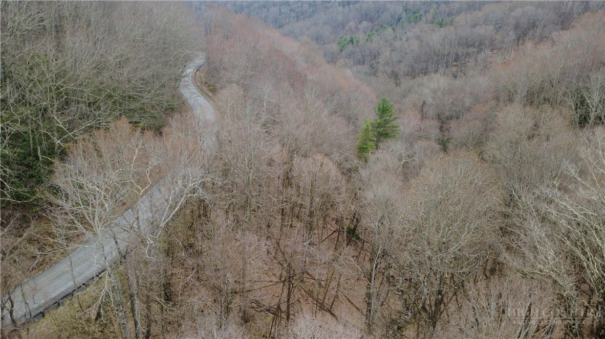 Image number 2 for the current listing