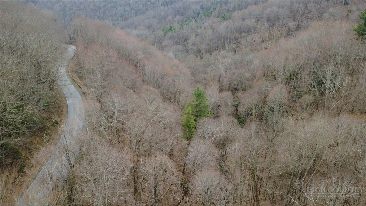Image number 3 for the current listing