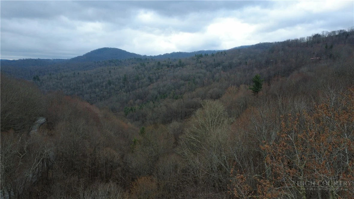 Image number 9 for the current listing