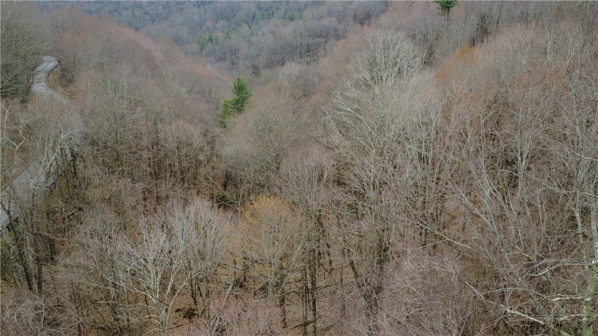 Image number 11 for the current listing