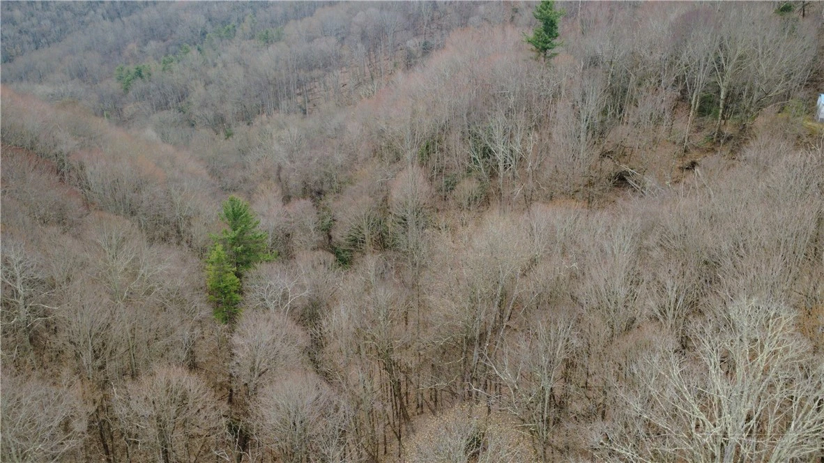 Image number 12 for the current listing