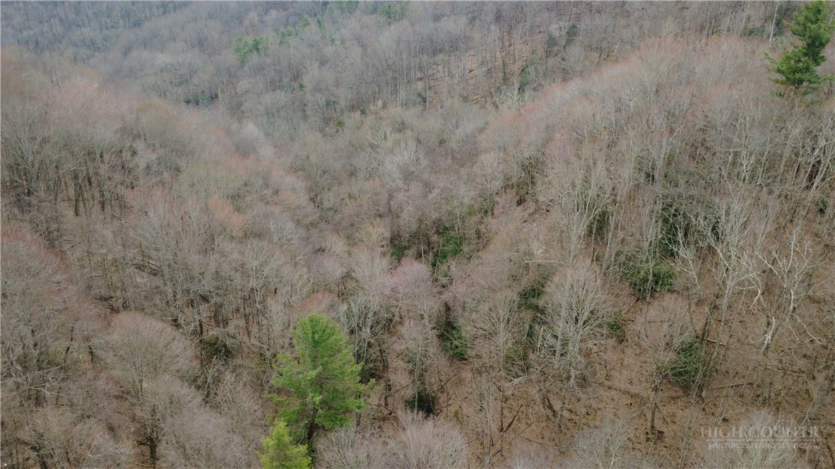 Image number 14 for the current listing