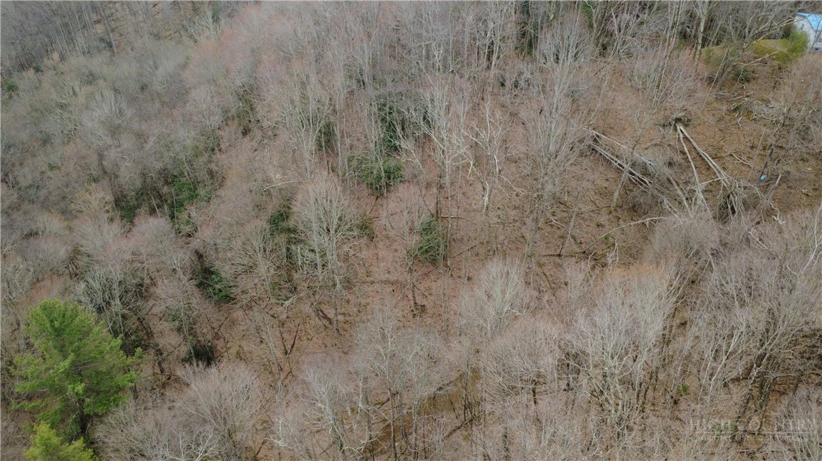 Image number 15 for the current listing