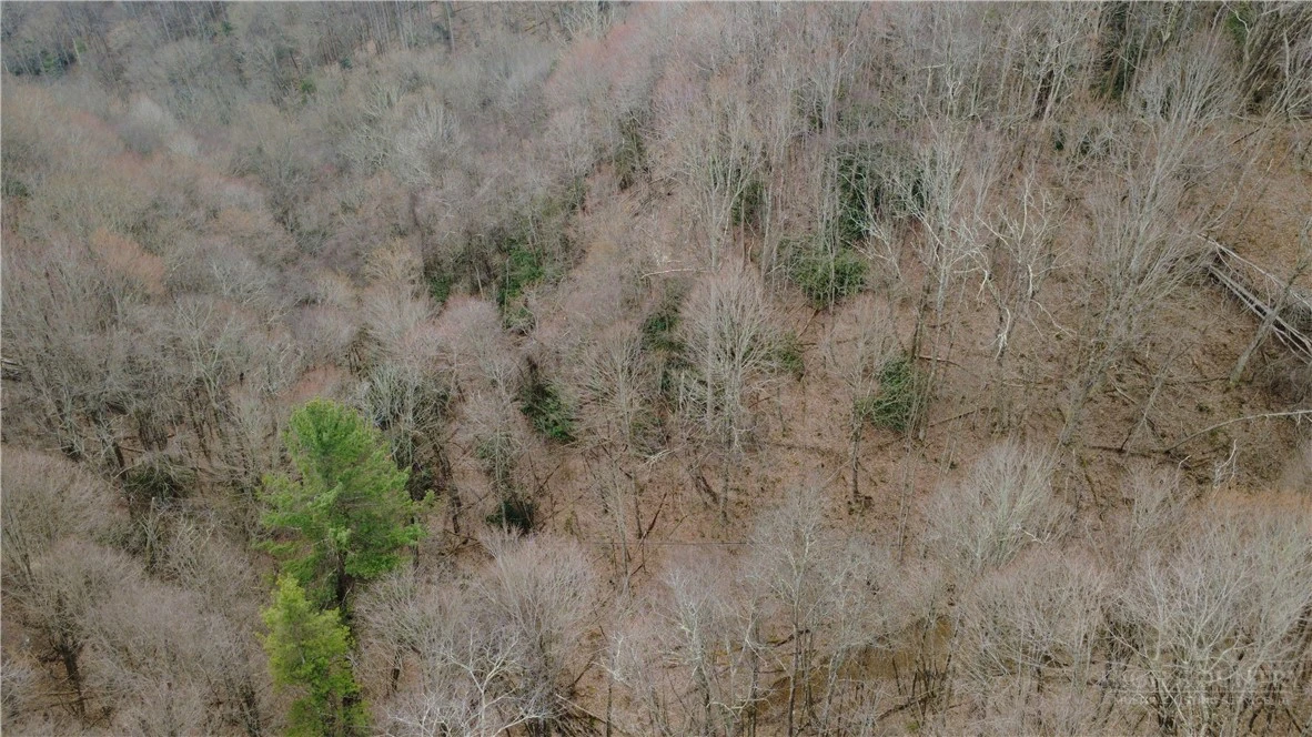 Image number 17 for the current listing