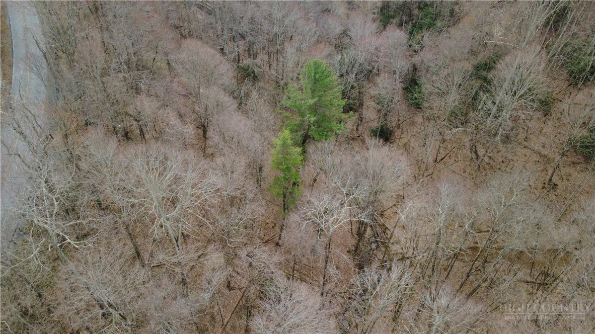Image number 18 for the current listing
