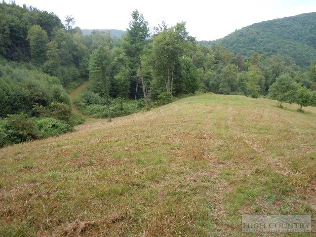 Image number 1 for the current listing