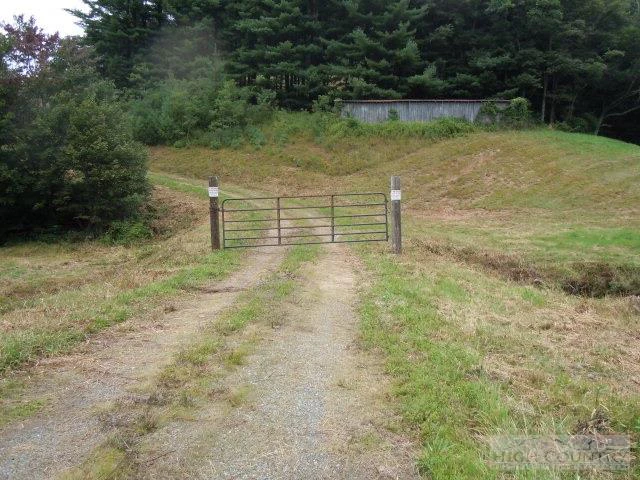 Image number 11 for the current listing