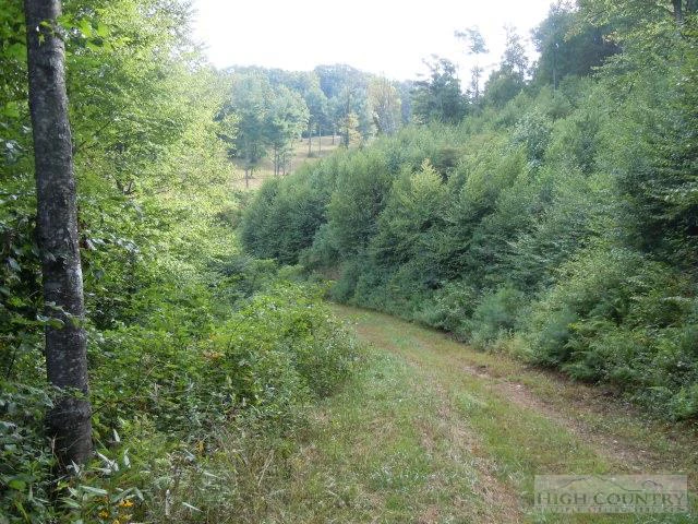Image number 4 for the current listing