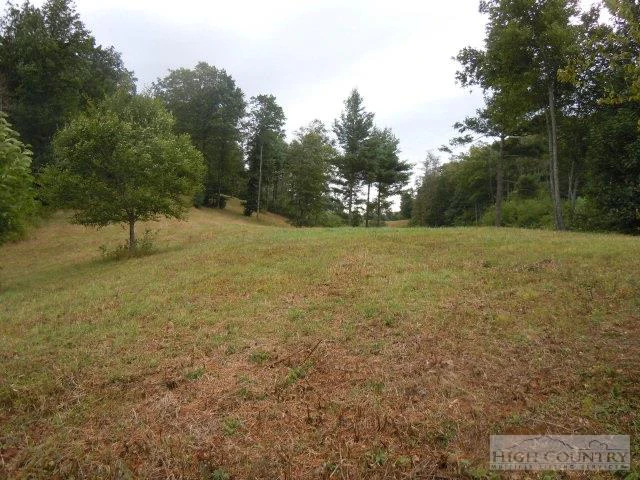 Image number 5 for the current listing