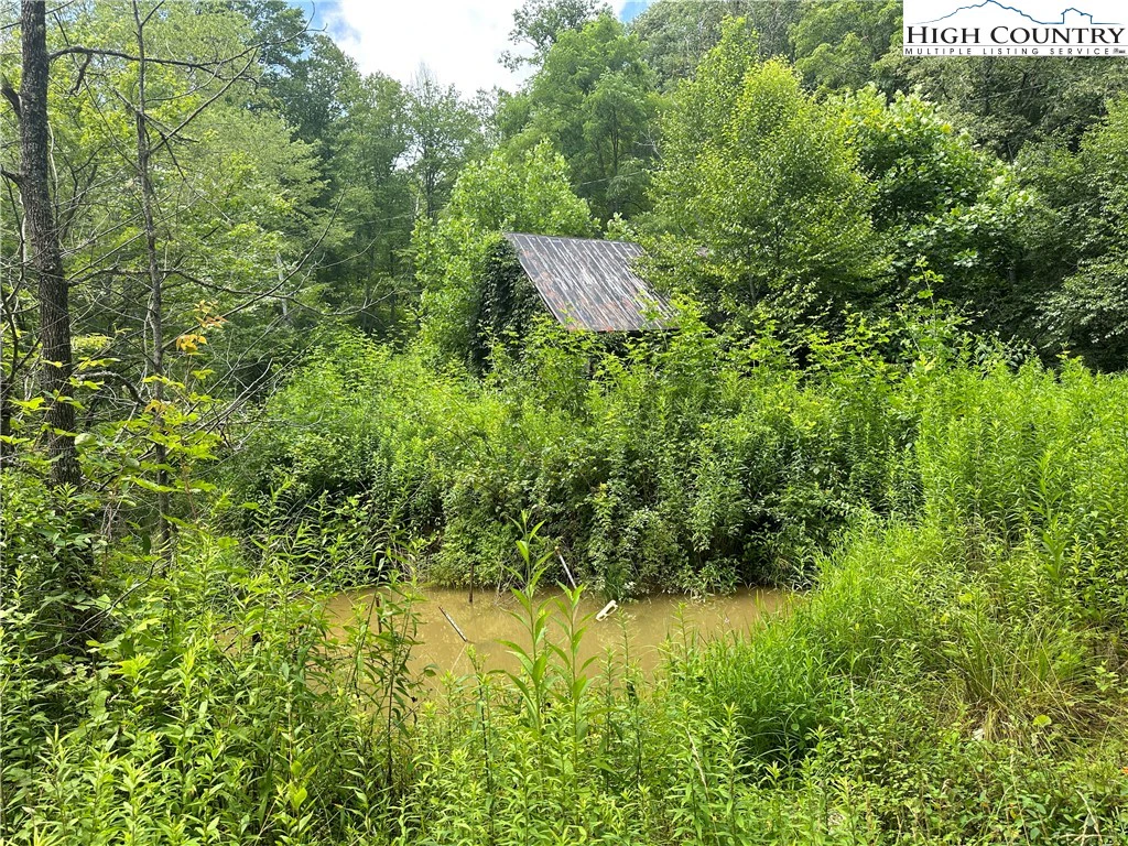 Image number 4 for the current listing