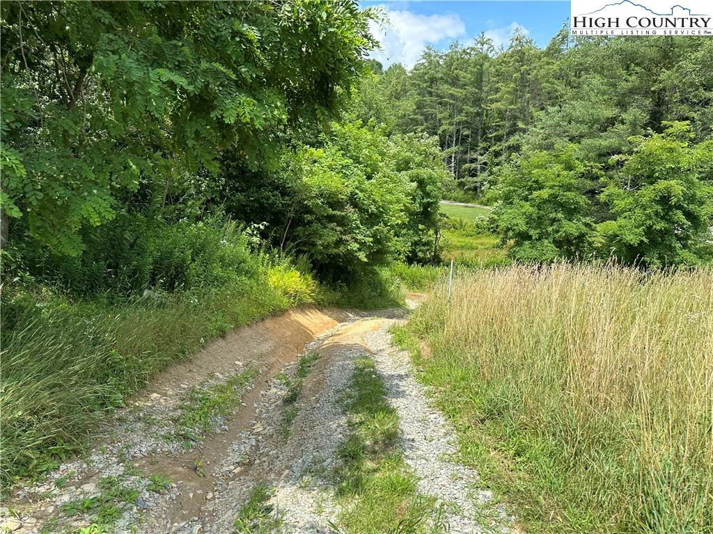 Image number 5 for the current listing