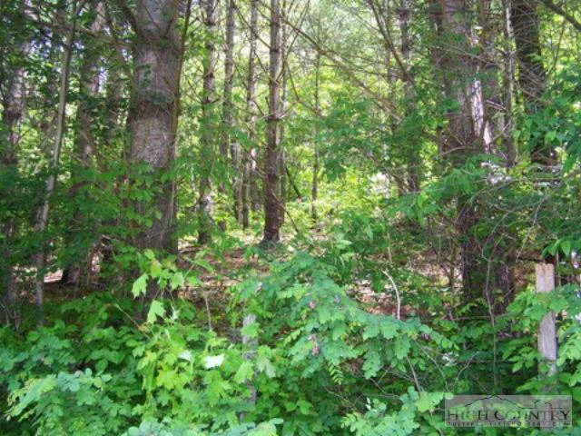 Image number 1 for the current listing