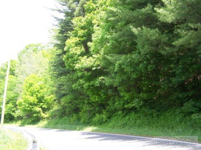 Image number 4 for the current listing