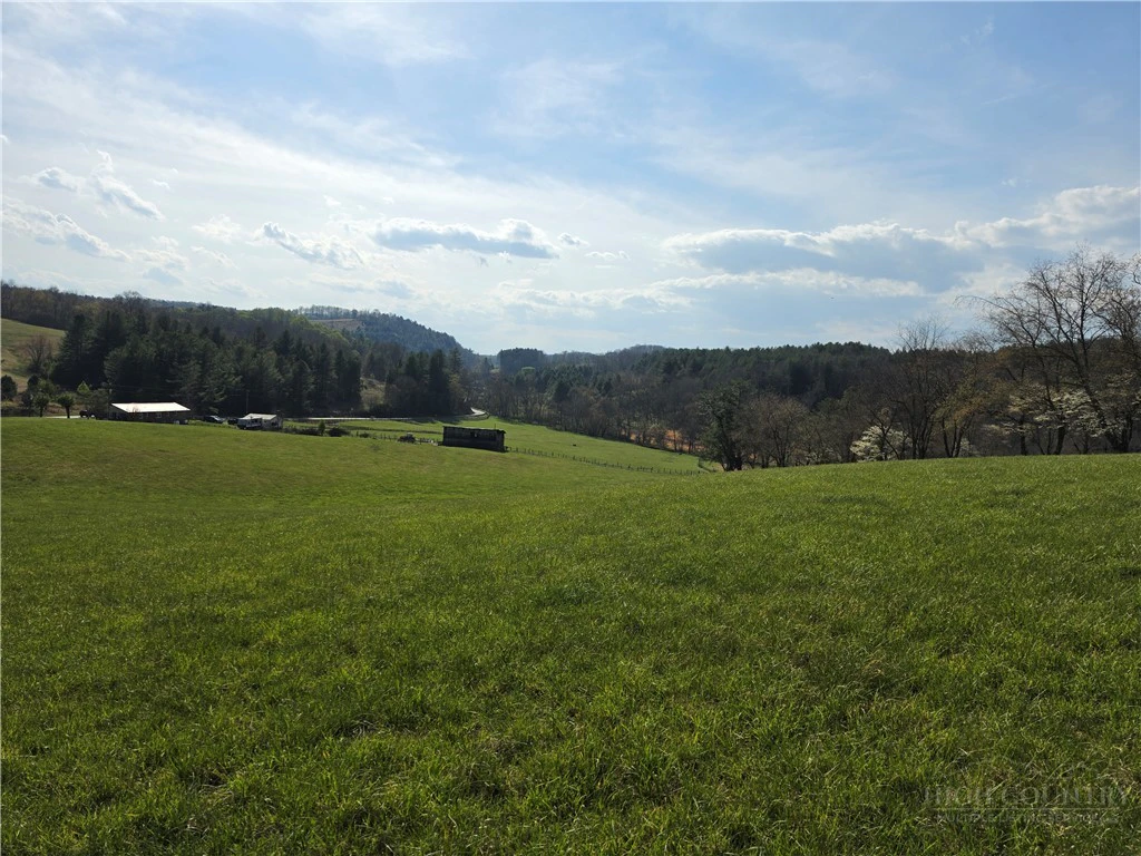 Image number 1 for the current listing