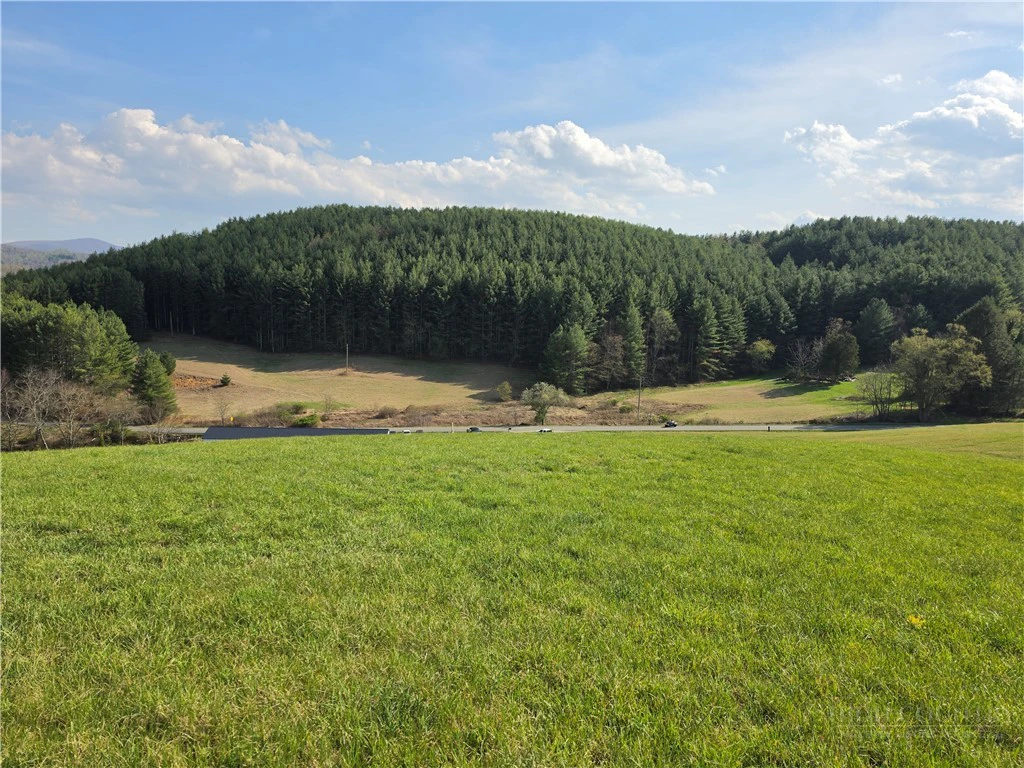 Image number 4 for the current listing