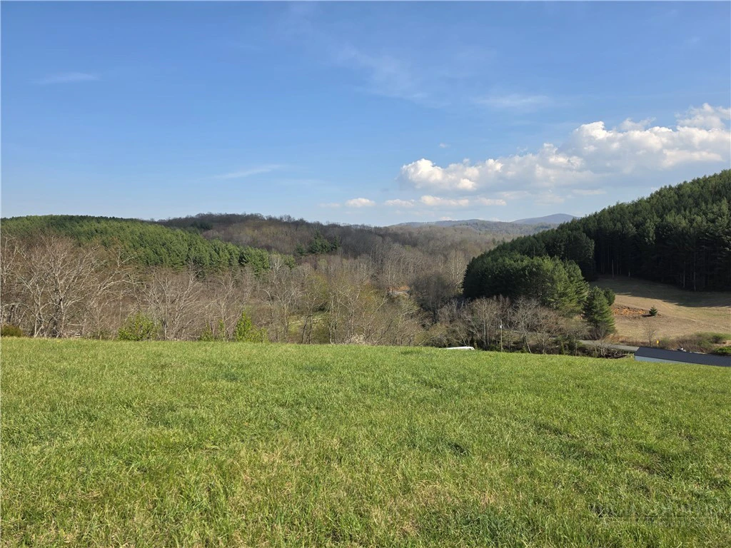 Image number 5 for the current listing