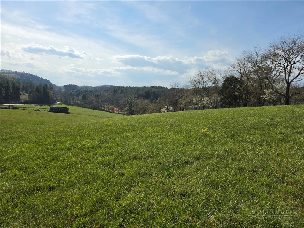 Image number 7 for the current listing