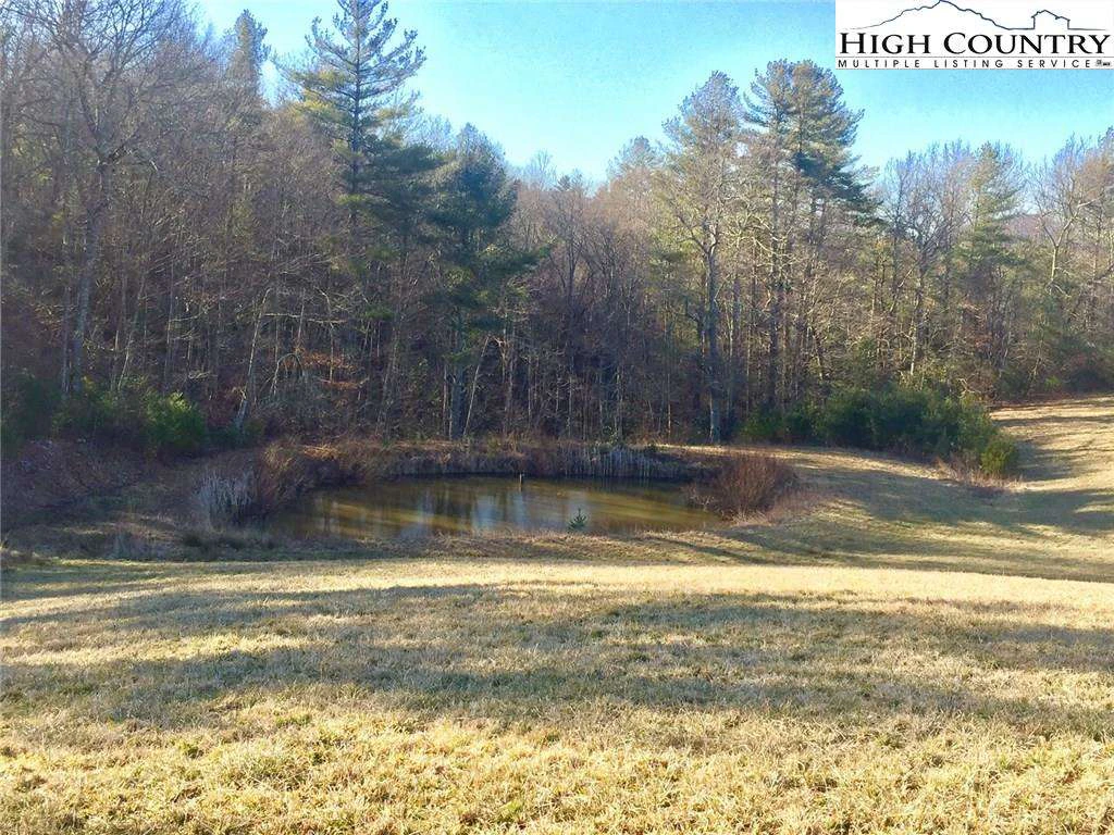 Image number 11 for the current listing