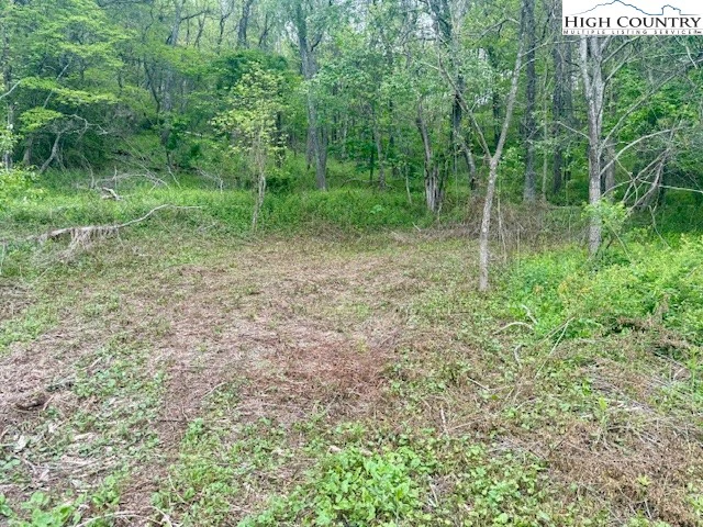 Image number 1 for the current listing