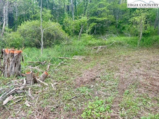 Image number 3 for the current listing