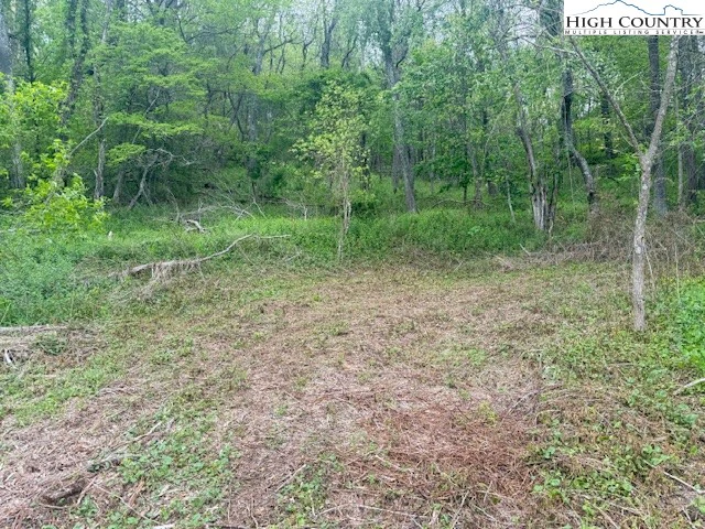 Image number 4 for the current listing