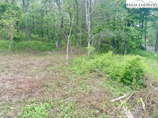 Image number 5 for the current listing