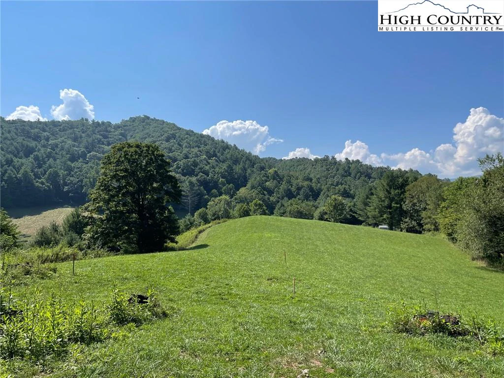 Image number 1 for the current listing