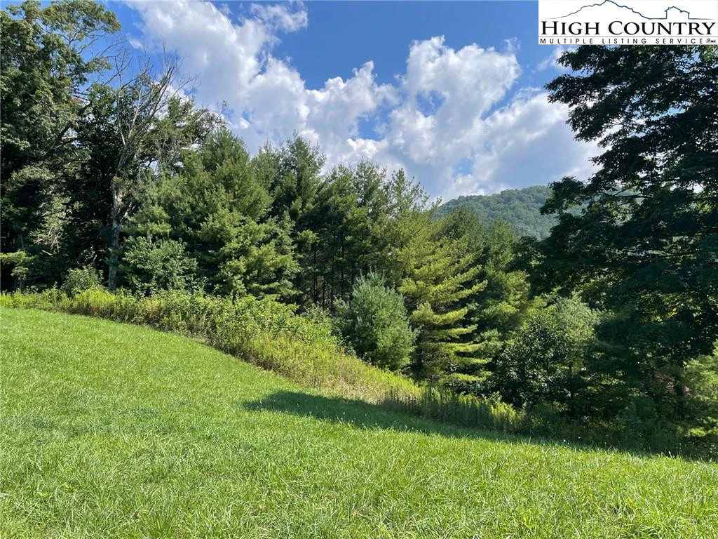 Image number 13 for the current listing