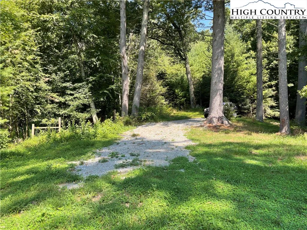 Image number 2 for the current listing